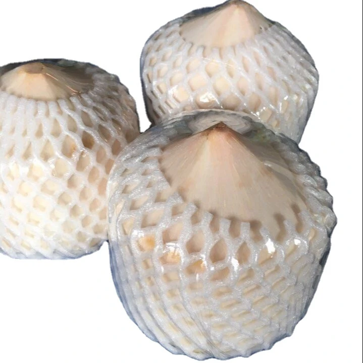 Top Quality Young Fresh Diamond Coconut Juice for Refreshment Easy to Drink Export Japan Korea Market From Viet