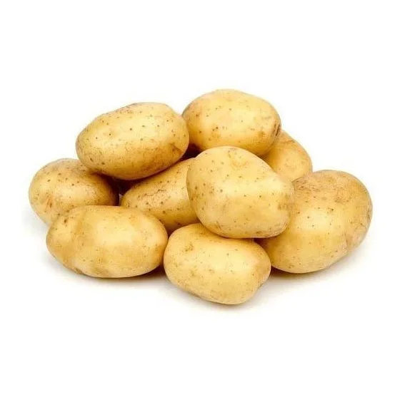 Новый урожай желтый свежий картофель оптом свежие
