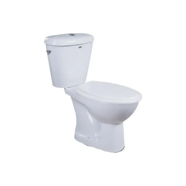Modern Ceramic Floor Mounted S Trap Italian Two Piece Wc Bowl Wash Down Toilet Seat for Worldwide Export from India