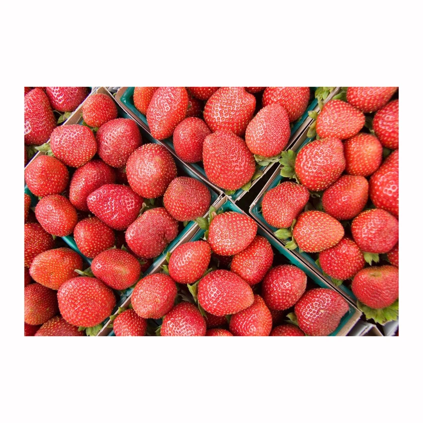 High quality IQF 10 kg frozen fruits and berries from Brazil IQF Frozen Strawberry in carton boxes for food