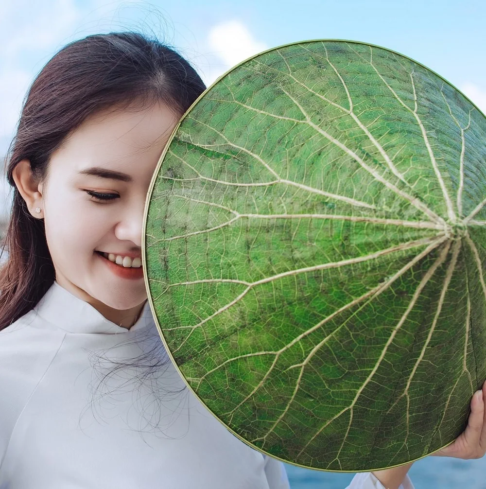 Lotus Conical Hat From Vietnam For Travel Event and Decoration / Vietnamese Traditional Lotus Leaf Hats