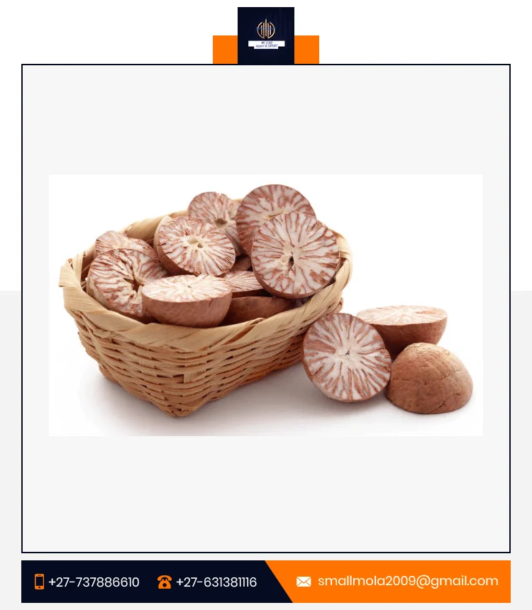 Betel Nuts High Quality Wholesale Price Whole Betel Nut / Peeled Betel Nut