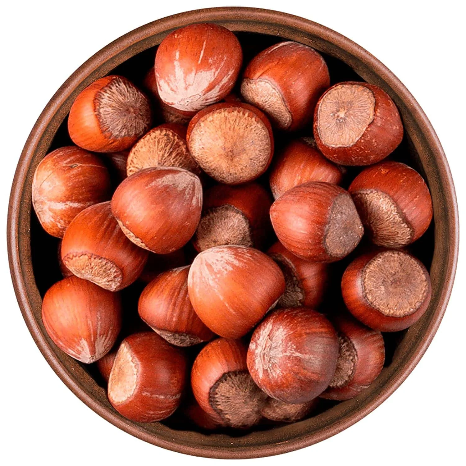 Wholesale Supplier Hazelnut Best Quality Hazelnuts For Sale In Cheap Price