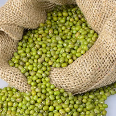Высокое качество Лидер продаж зеленые бобы мунг оптовая