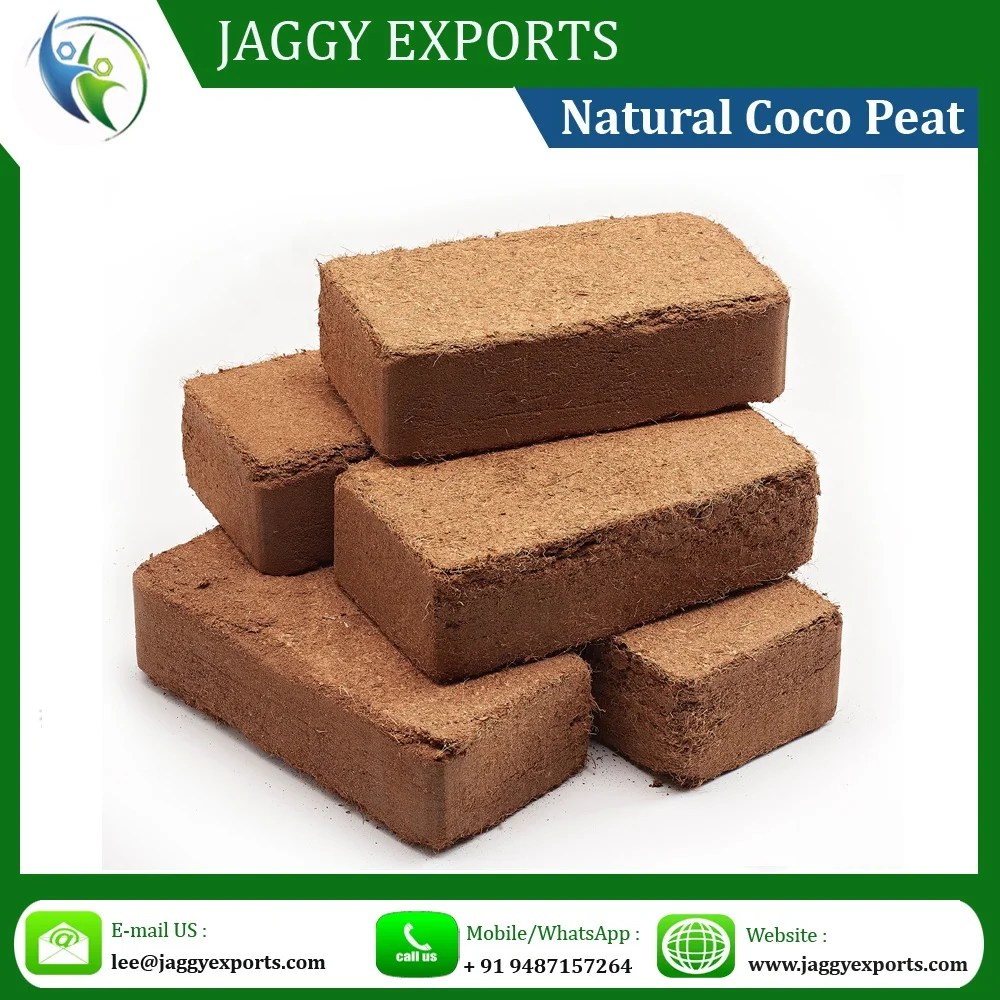 Natural Coco Peat Moss / Hot Sale - Professional manufacture - Latest Exporter - Store Seller - Online Manufacture
