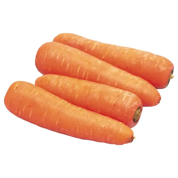 Wholesale price smooth skin fresh red carrot top quality fresh carrot seller Thailand fresh vegetable export