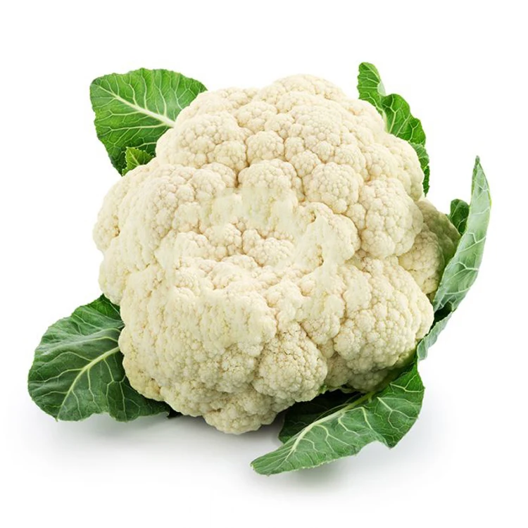 Cheapest Price Supplier Bulk Fresh Vegetables Cauliflower With Fast Delivery