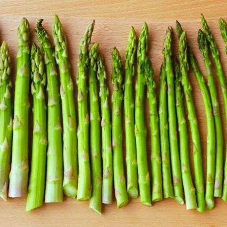 High Quality Fresh Green Asparagus With Cheapest Price