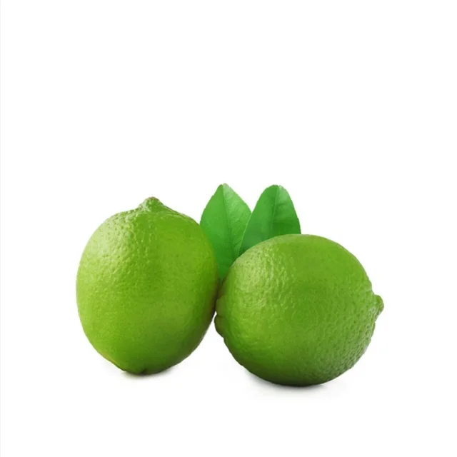 Fresh Fruits New Harvest FRESH SEEDLESS LIME/ FRESH LIME/FRESH GREEN LEMON SUPPLIER