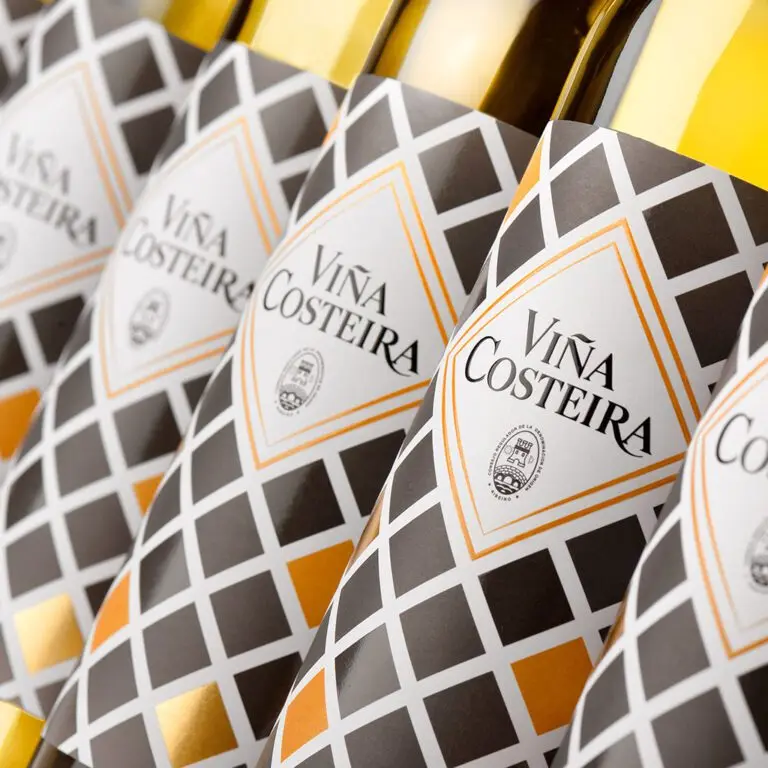 High Quality White Wine from Spain | DO Ribeiro | 750 ml glass bottle | Alcoholic Beverage | Vina Costeira Brand