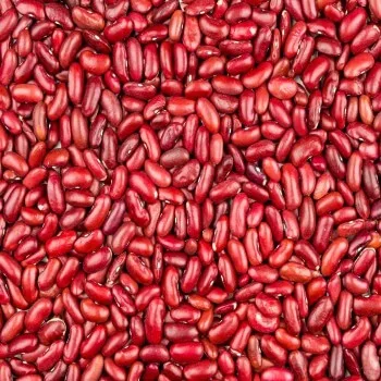 Kidney Beans available for sale at best price