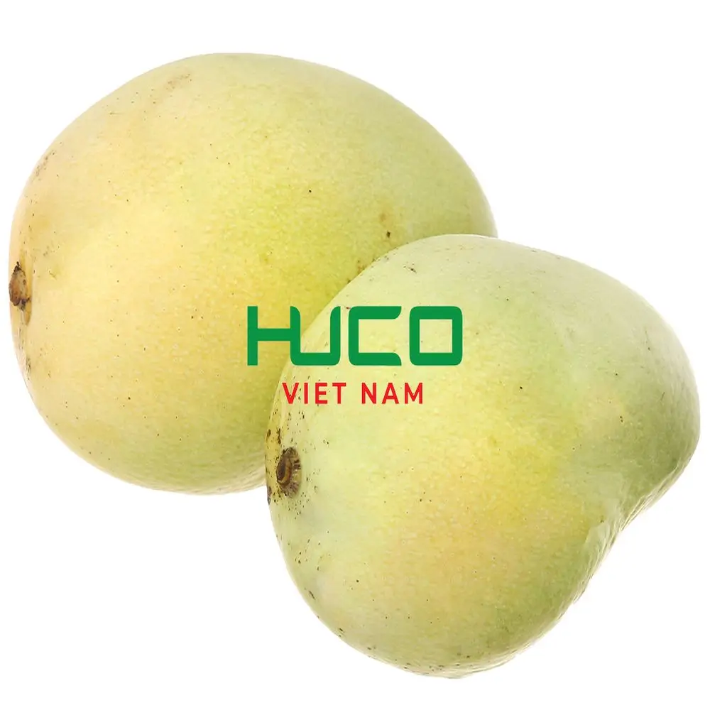 HOT High Quality Cheap Price Fresh Mango Fruit Exporter from Vietnam