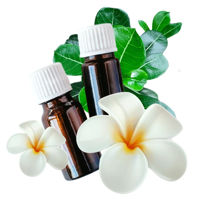 100% Pure Essential oil for Aromatherapy perfume making Frangipani Oil also use in Soap Candle Lotions and shampoo Making