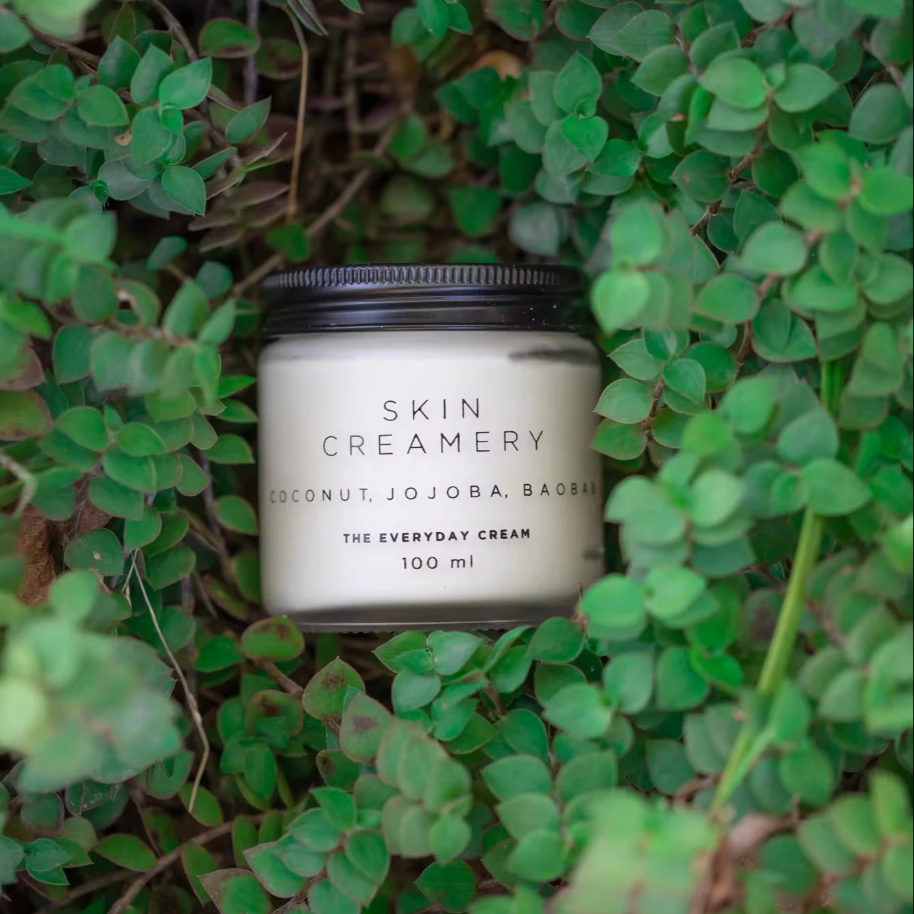 Everyday Cream All-Purpose Moisturiser Vegan & Organic Anti-Aging Face Oil Natural Ingredients Nourishing Wrinkle Fighter Skin