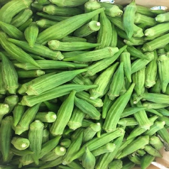 Cheap Hot Selling Quality Fresh Okra Fresh Lady Finger Okra Organic Fresh Okra Best Price