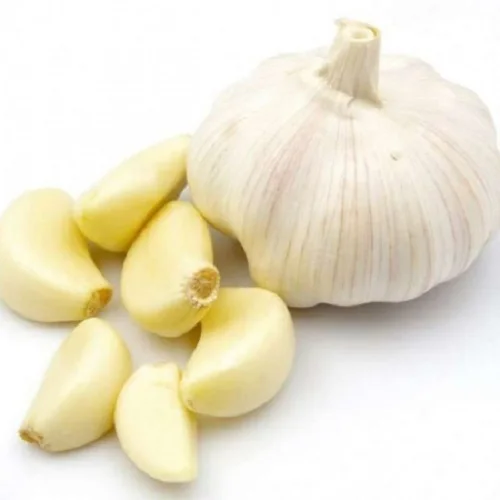 Hiigh Quality Healthy Fresh Garlic 100% Organic at Low Wholesale Price