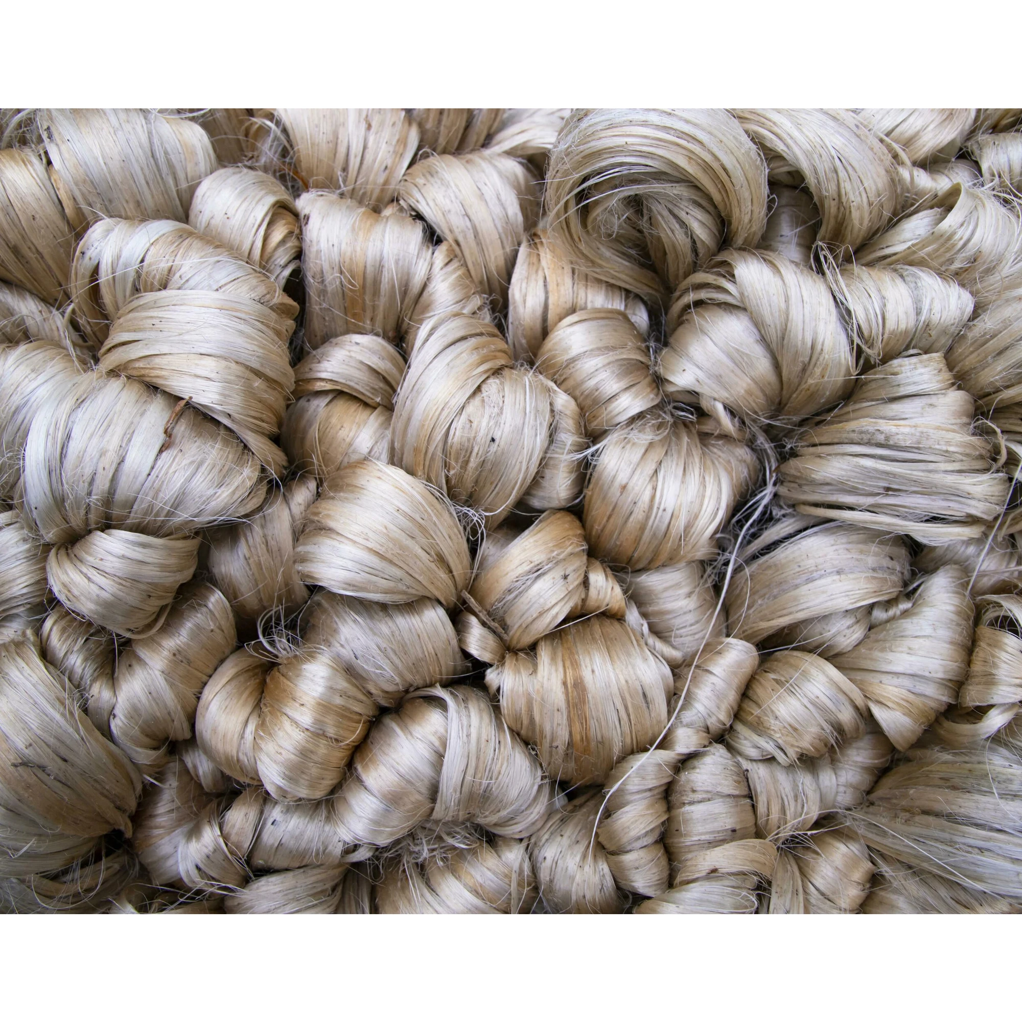 100% сырое чистое качество ориентированное на экспорт оптовая продажа дешевая индивидуальная упаковка белый необработанный джут из золотого волокна цена от Бангладеша