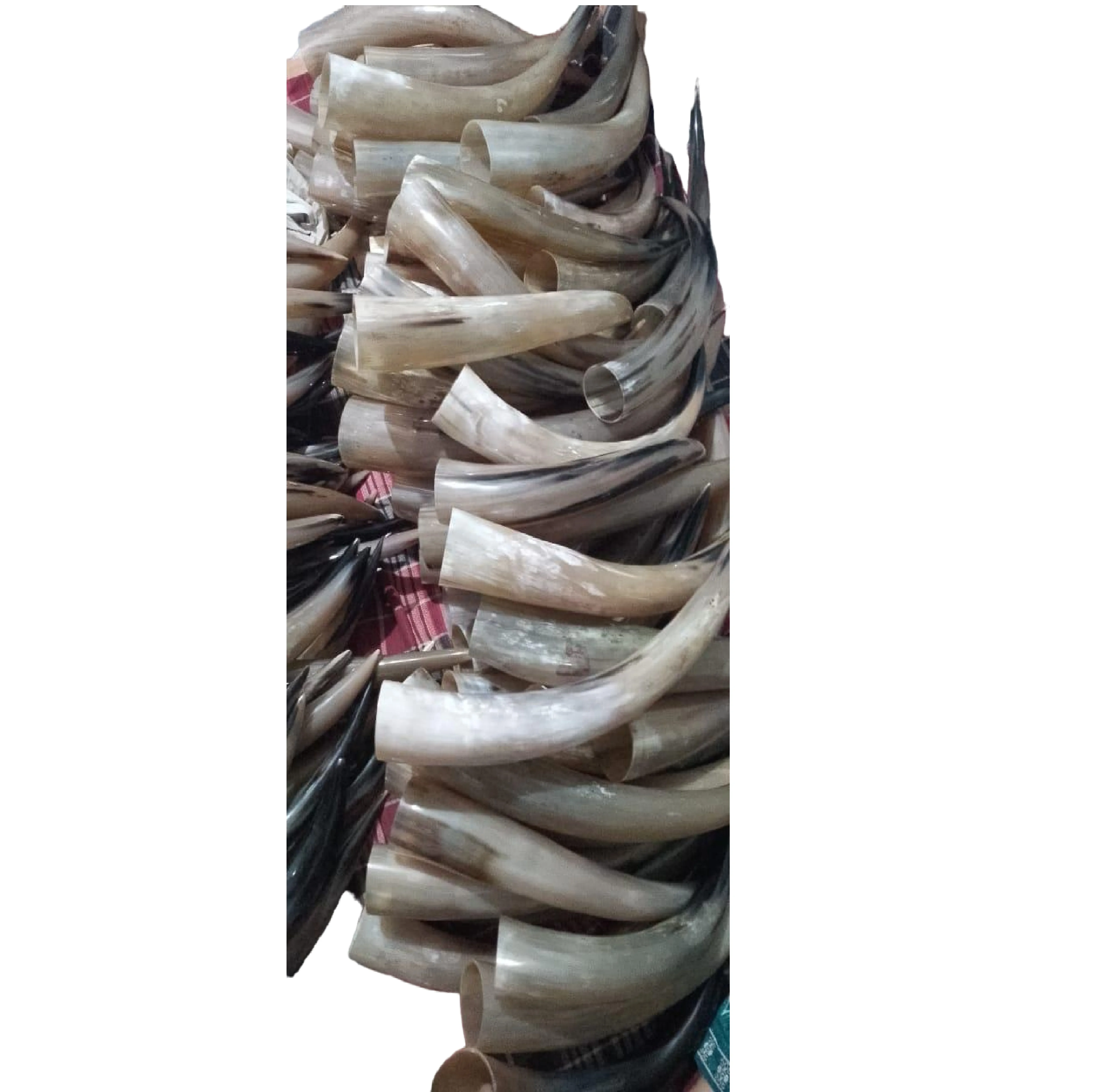 Top Quality Natural Quality Ready For Export Buffalo Horn With Engraving Design Horn Drinking Wine Glass Supplier From India