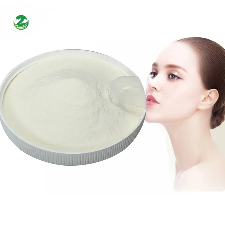 Factory supplies high quality hydrolyzed bovine collagen peptides type 1 collagen powder collagen granules