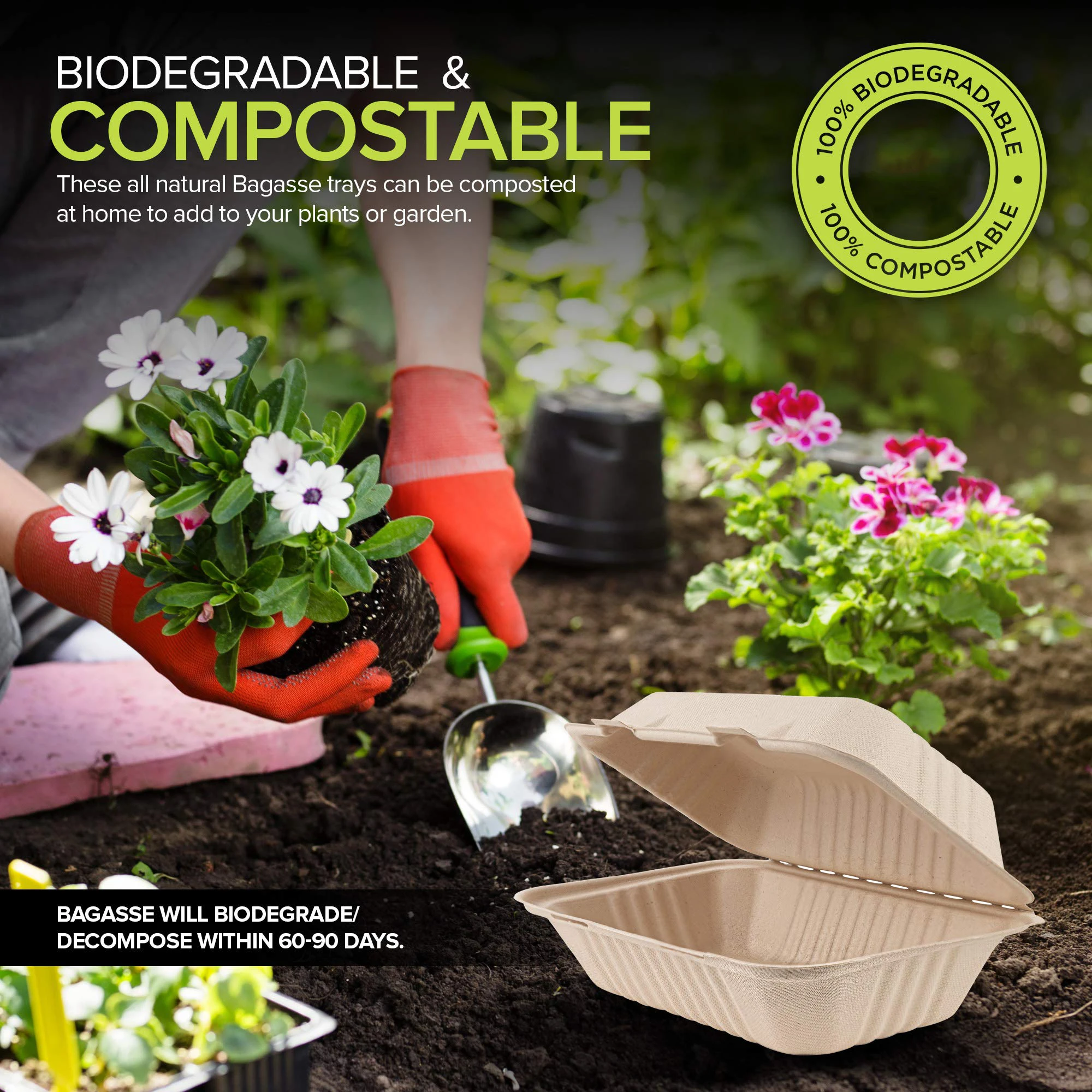 Blister Packing Freezer Safe Food Takeout Food Containers With Logo