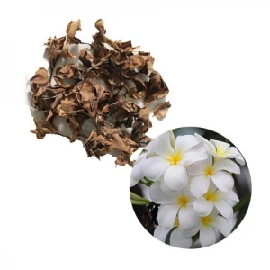 Dried porcelain flowers from Vietnam / frangipani flower holiday