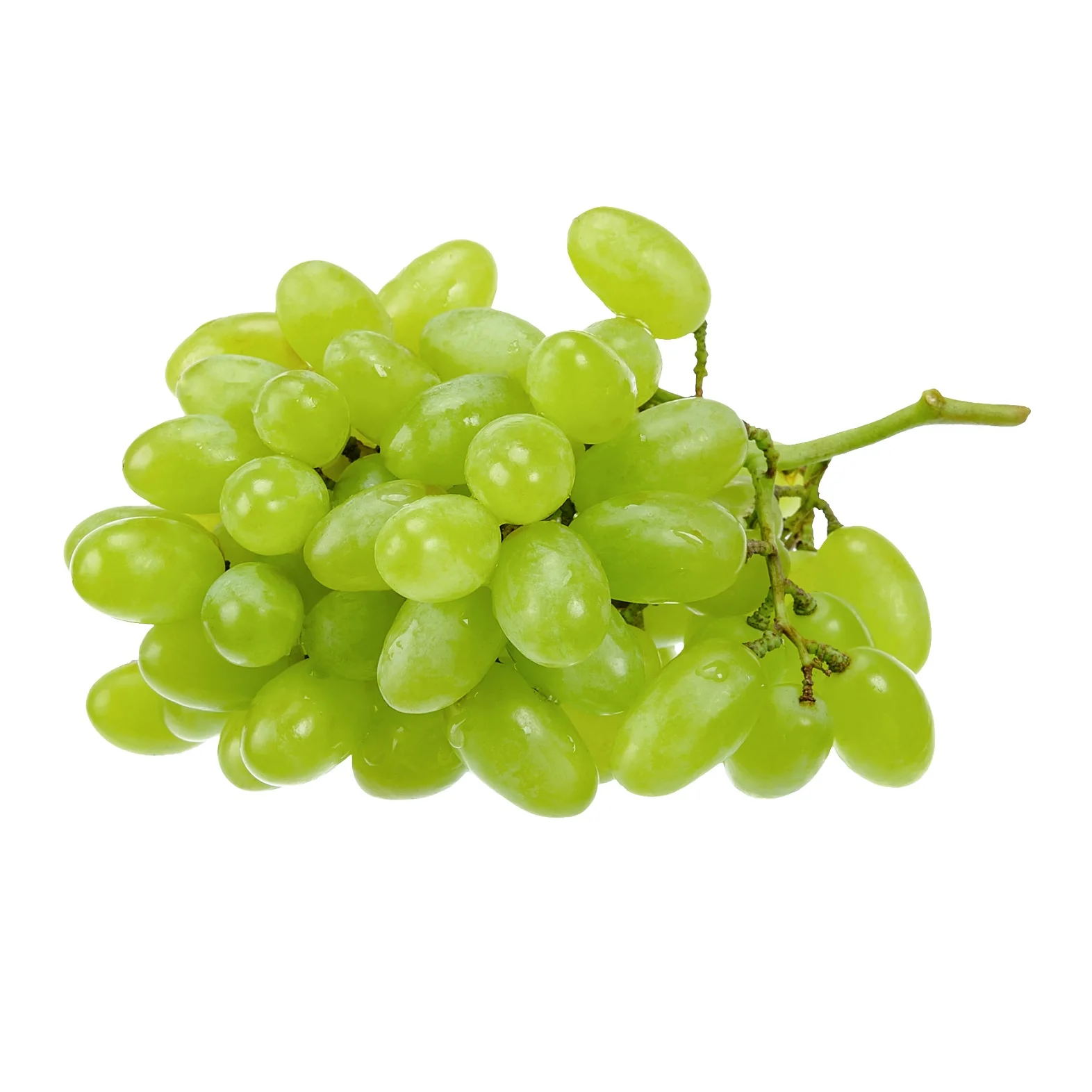 Manufacturer Of Fresh And Natural Green / Black Grapes Quality Assured Fresh Grapes Available At Wholesale Price