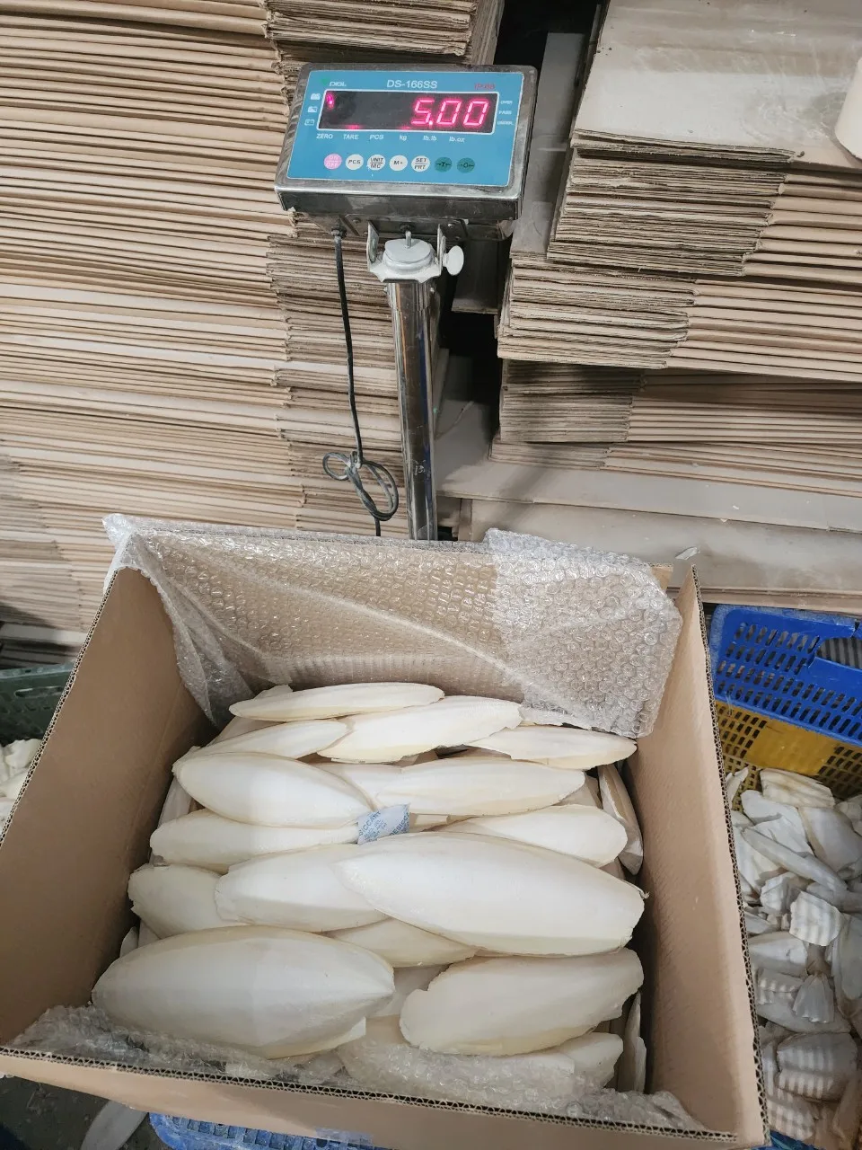 Top Reliable Supplier Provide Dried Cuttlefish Bone - High Quality White Bleached Cuttlefish Bone With Competitive Price 2024
