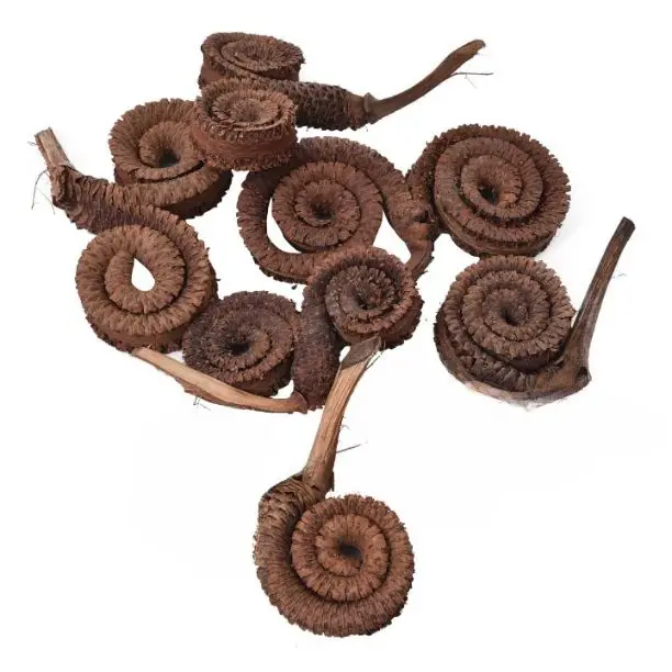 Popular Premium Quality Palm Ring for Wedding Home Event Office Decor & Dried Flower Arrangement