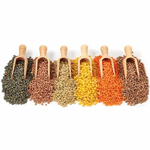 Bulk Dried Red Lentils/Green Lentils/Brown Lentils for food
