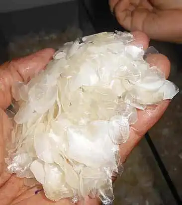 Поставщик-сушеная Рыбная чешуя 100% Тилапия/высокое качество и конкурентоспособная цена экспортный стандарт от вьетнамского 2023.