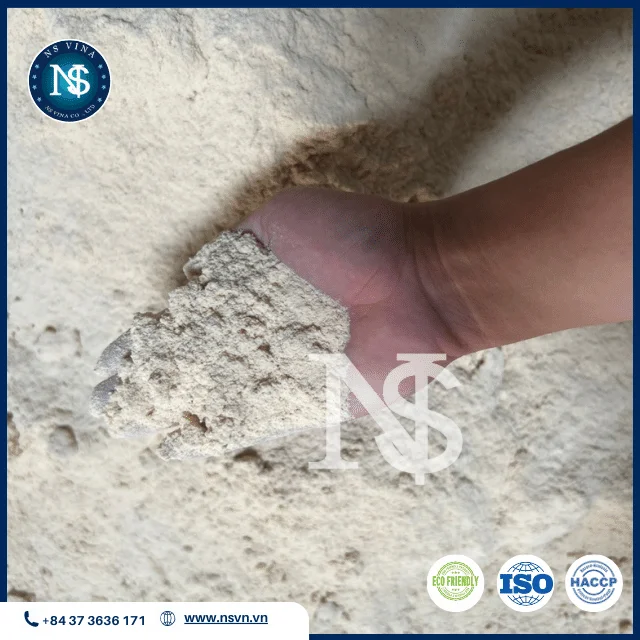 WHOLESALE WOOD POWDER 1T FROM VIETNAM HIGH QUALITY FOR MAKE INCENSE T1 WOOD POWDER AGARBATTI