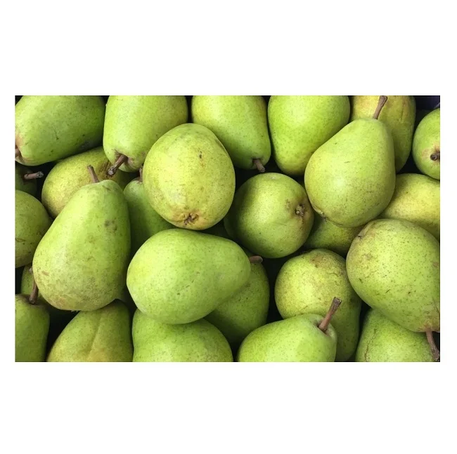 Wholesale Cheap Price Best Quality Fresh Fruit Sweet Pears For Sale Worldwide Exports