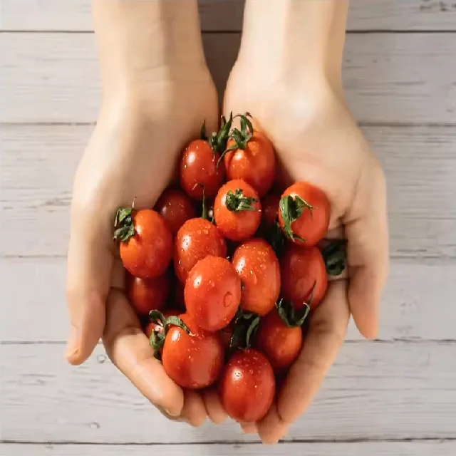 Fresh Tomatoes Available from Thailand