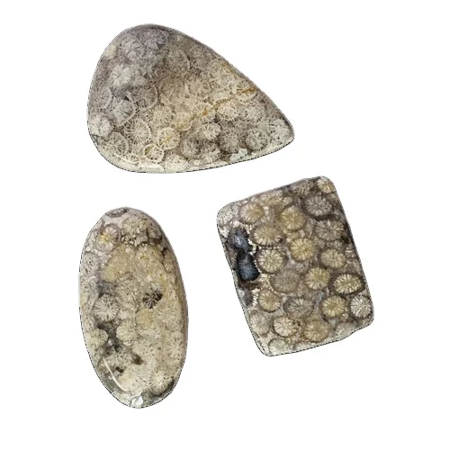 Black  Loose Gemstone Jewelry Natural Black Coral Loose Gemstone High Grade Handmade premium product