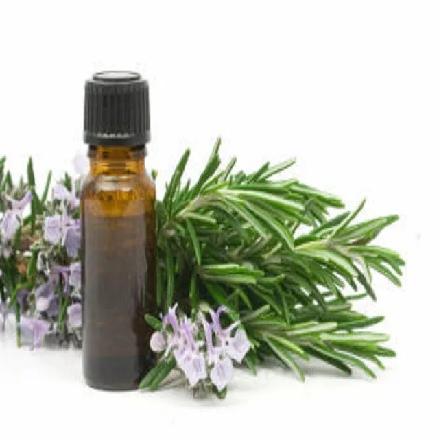 Supplier of Rosemary oil from India