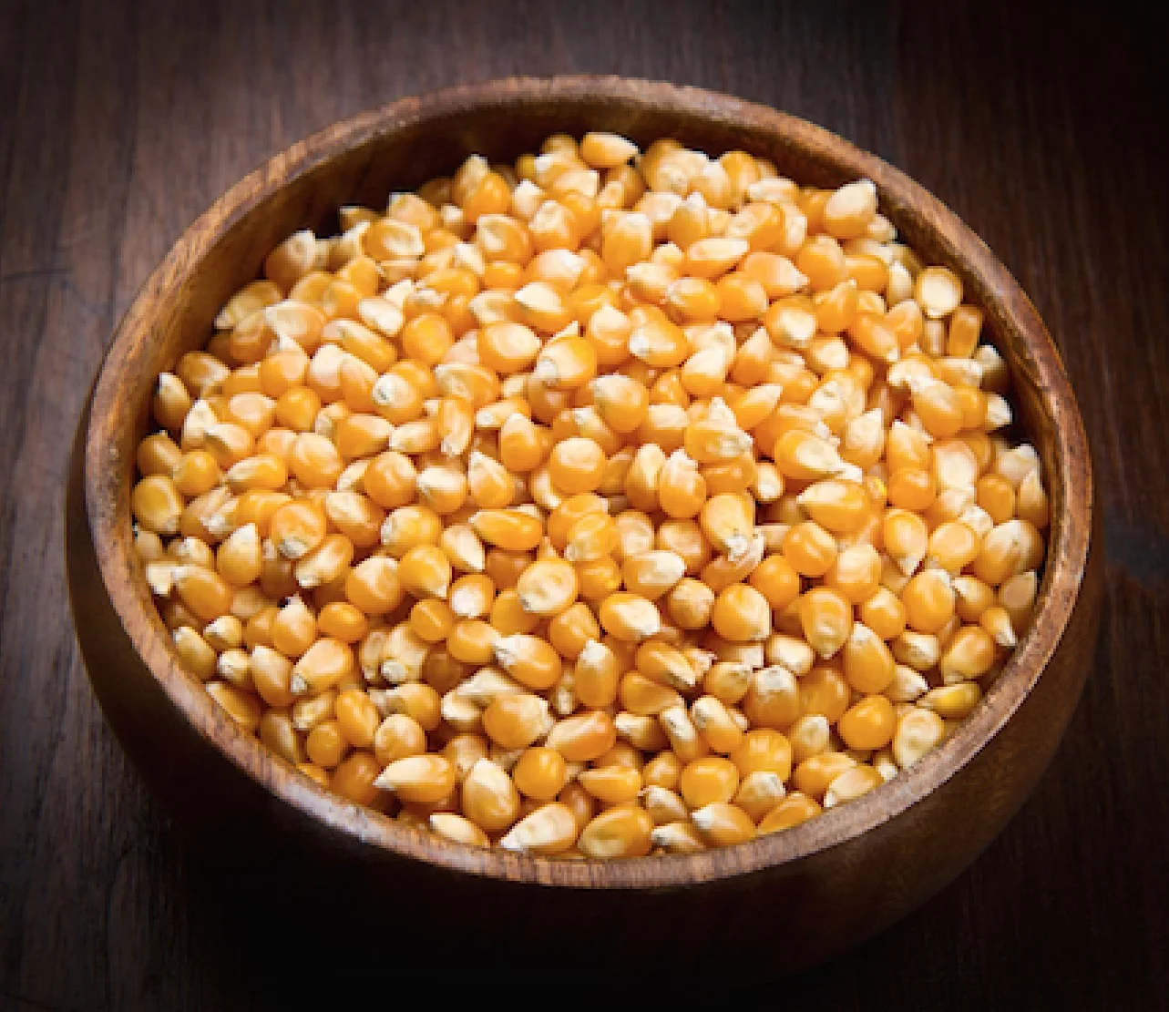 Best Quality Yellow Corn Available at Wholesale Prices Best Selling Maize Corn From India For Export Sale