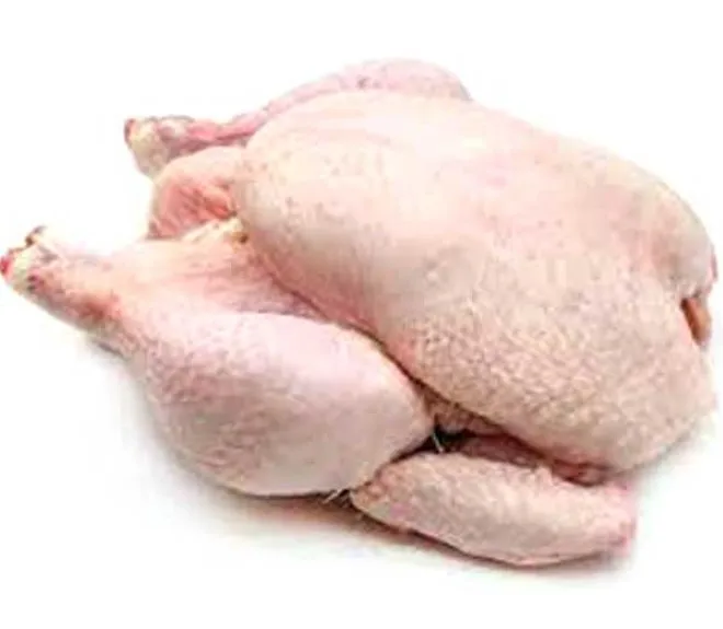 Wholesale Chickens Frozen Frozen Whole Chicken AT LOW PRICE