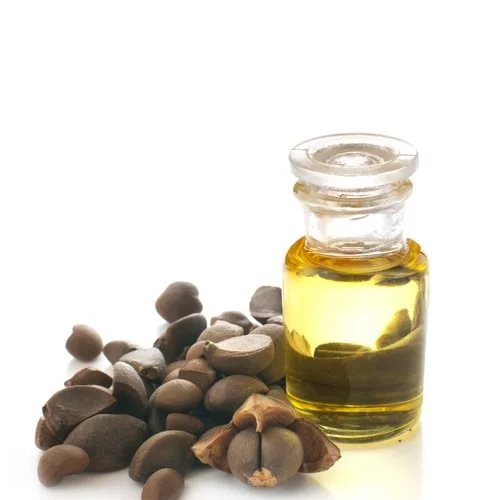 Refined Camellia cooking Oil