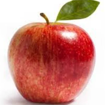 Fresh Apples/Royal Gala/Granny smith/Fresh Fruits