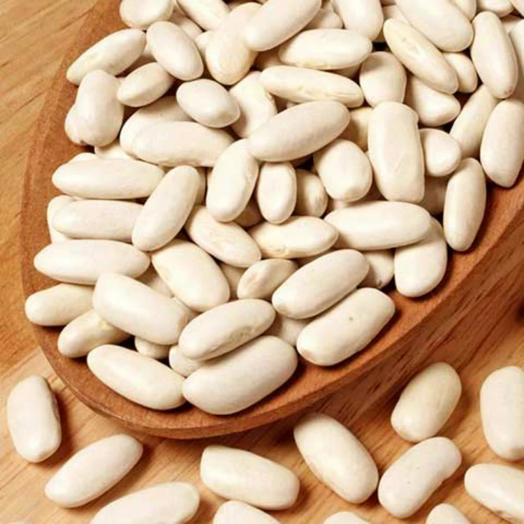 Dried and Raw Dark Red Kidney Sugar Bean for sale Thai Suppliers