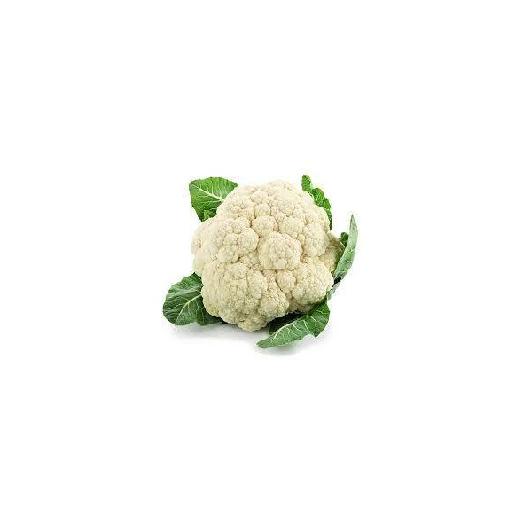 High Quality & pure 100% Natural and Organic Factory  Cauli flower  powder Manufacture  low price sales in India