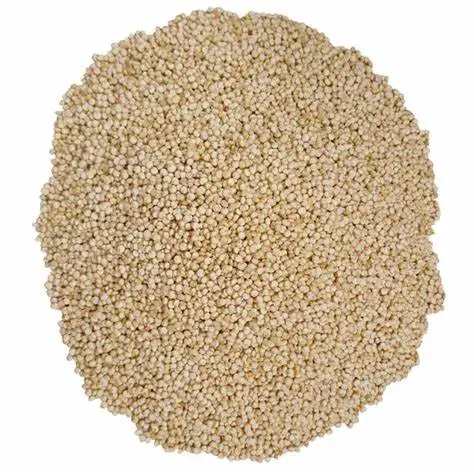 Sorghum Grains and Good Quality Red White and Yellow Sorghum Seeds for sale