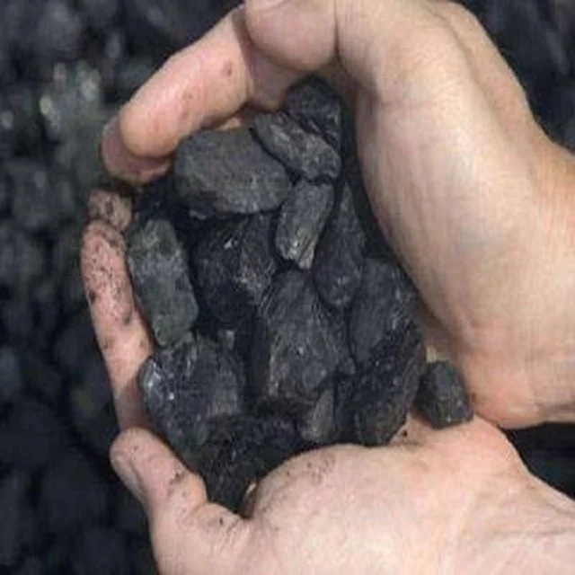 Charcoal - 100% Best Quality/High quality Charcoal and charcoal for sale/ steam coal for sale