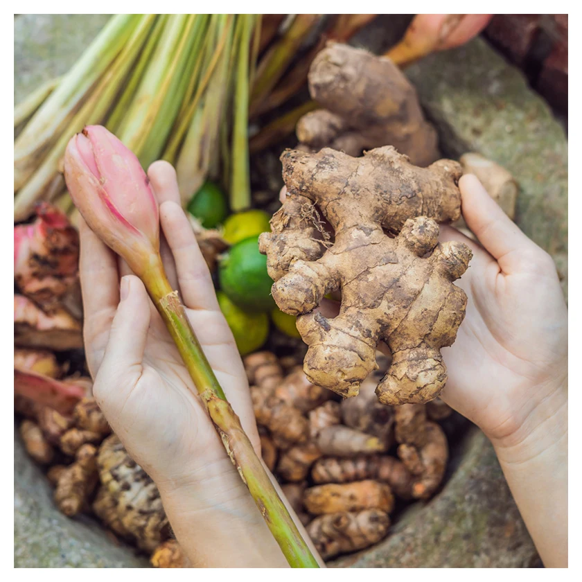 Ginger Low Price Private Label Quality Suppliers Bulk Market Natural Super Fresh Vegetable Brazil Ginger For Sale