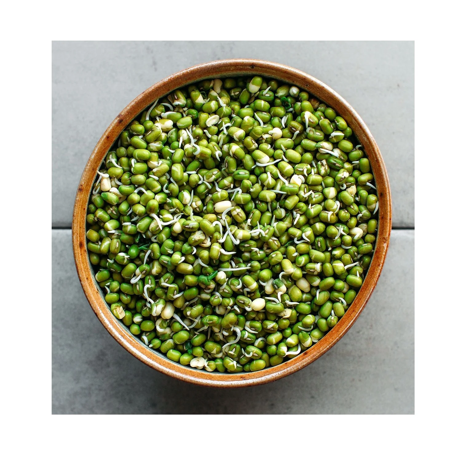 Wholesale Natural Organic High Quality Green Mung Beans For Sprouting Green Gram Beans Green Vigna Beans
