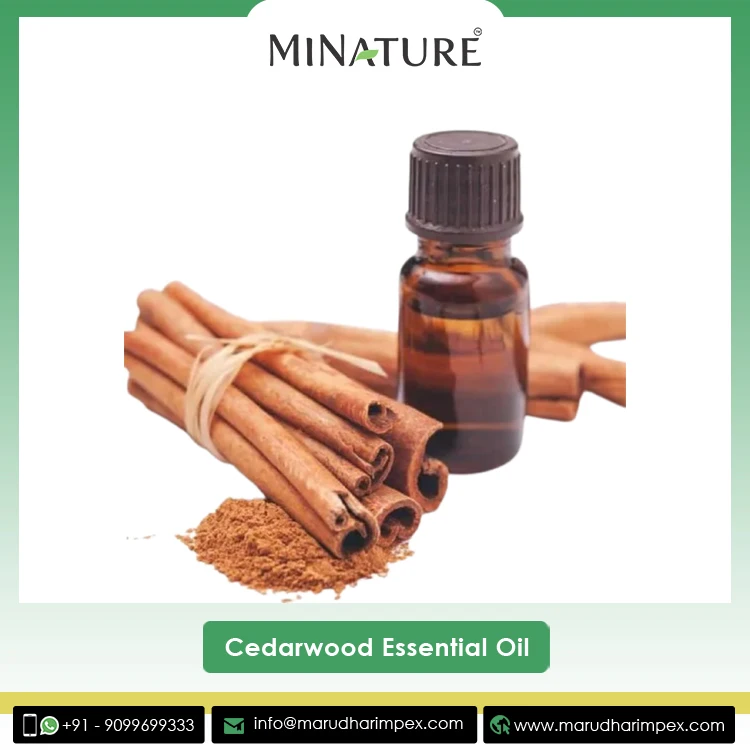 Manufacturing Superlative Quality 100% Natural and Organic Cinnamon Bark Essential Oil at Wholesale Price