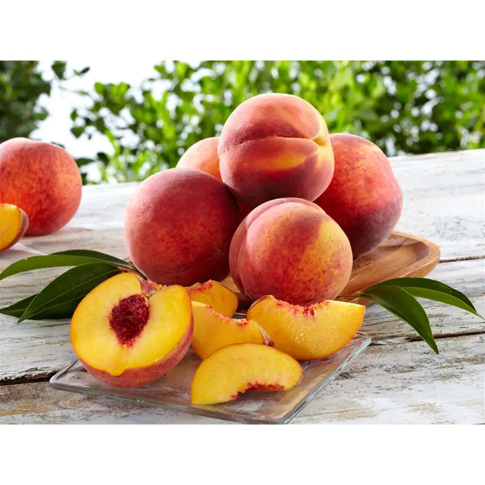 idaho-peaches.jpg
