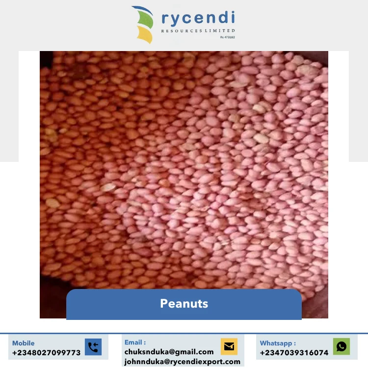 100% Natural Nigeria Origin Export Good Quality Dried Raw Peanuts for Wholesale Buyers at Bulk Price