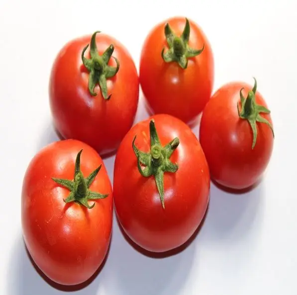Top Selling Red Color Fast Shipping High Quality Export Orined Direct Factory Wholesale Cheap Price Tomato From Bangladesh
