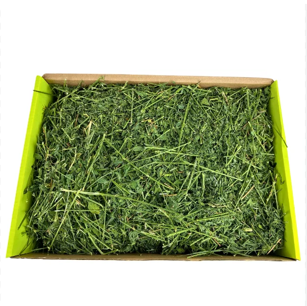 High Quality Non-GMO Alfafa Hay for Animal Feeding Alfalfa /Rodent Hay for sale